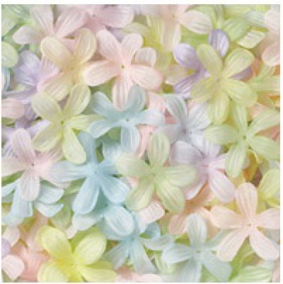 Blómablöð Stephanotis image
