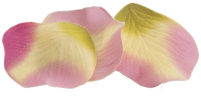 Rósablöð Rose image