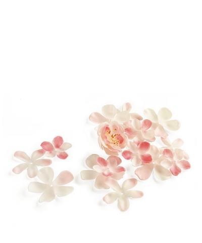 Blómablöð Cherry Blossom image